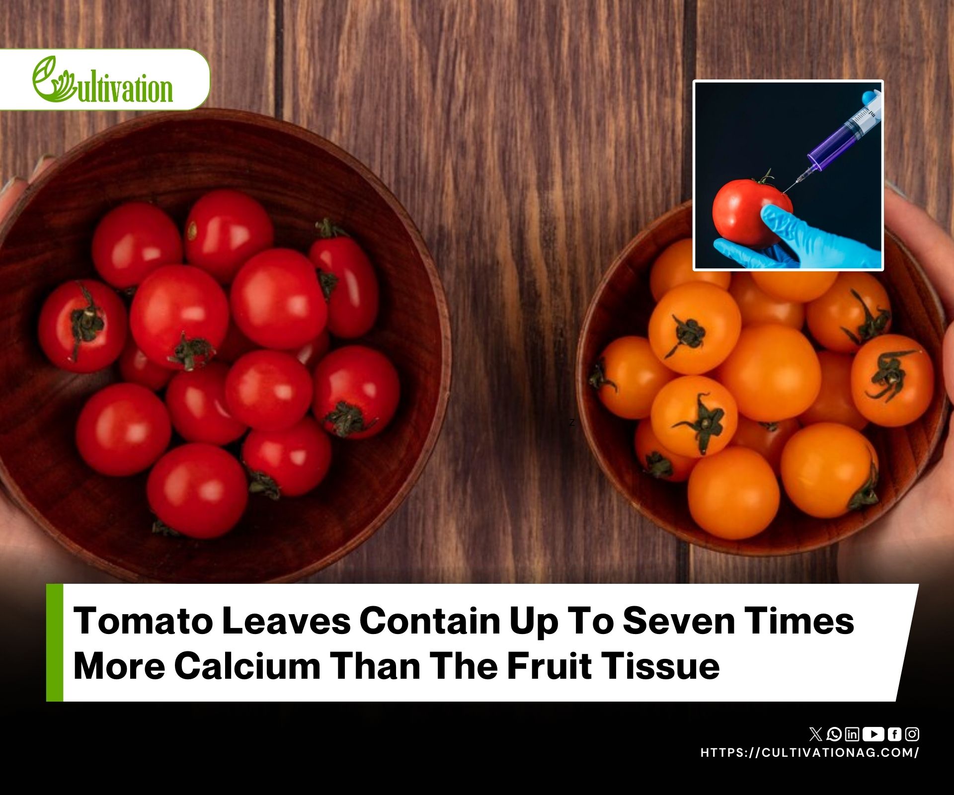 X-ray Fluorescence Reveals Salt Stress Alters Calcium and Potassium in Tomato Tissues