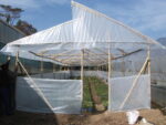 Bamboo Polyhouse: A Cost-Effective Solution for Modern Agriculture