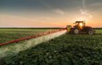 EU Sees Rise in Agricultural Prices in First Quarter of 2025