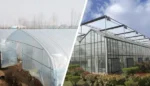 Key Differences Between Greenhouse and Polyhouse