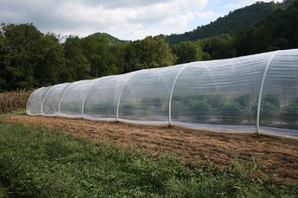 Low-Cost Polyhouse: A Smart Farming Solution for Small Farmers