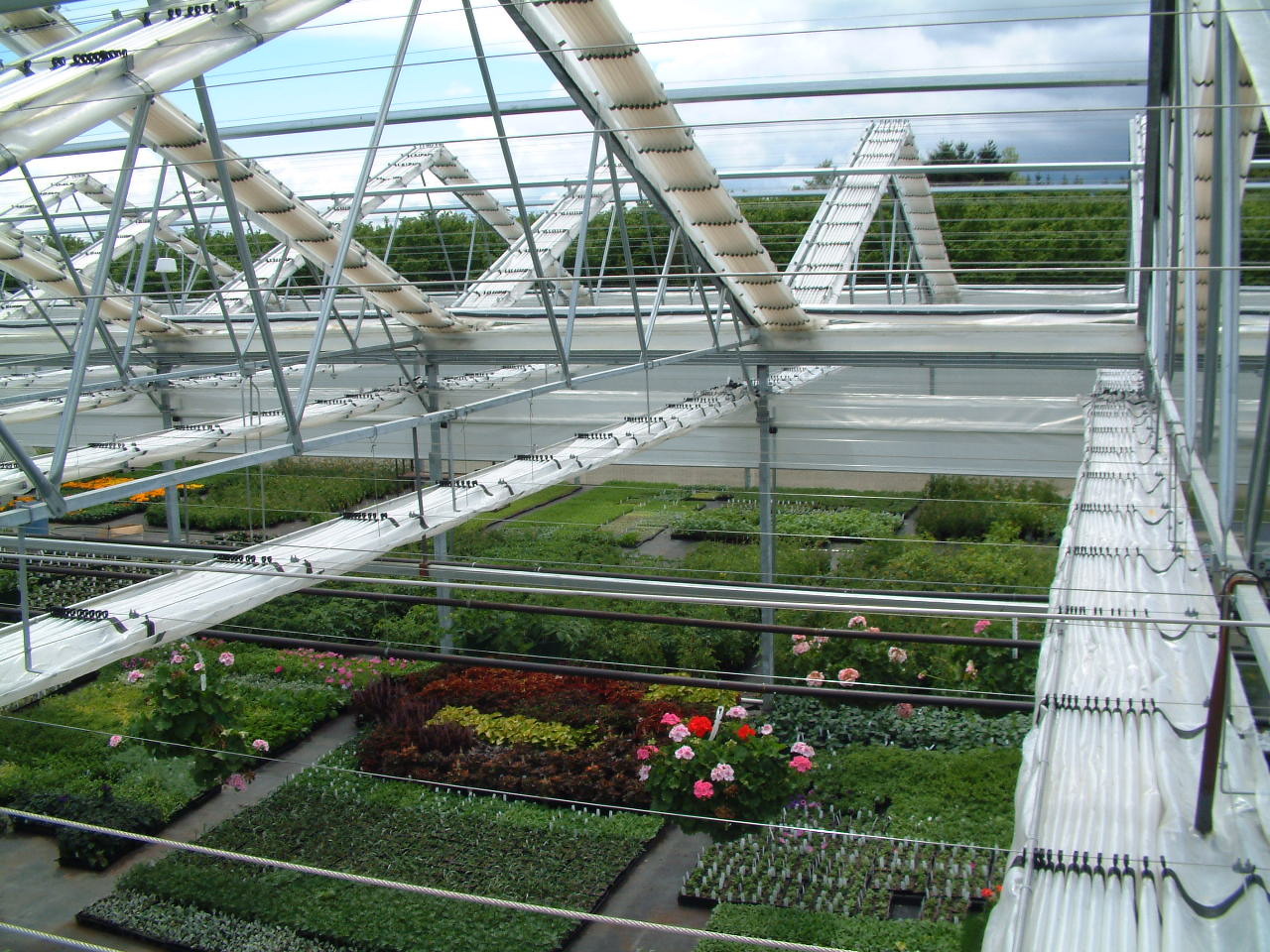 Retractable Roof Polyhouse