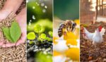Eco-Friendly Farming Methods Protect Our Ecosystems