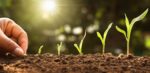 Low Input Sustainable Agriculture Principles, Practices, and Benefits