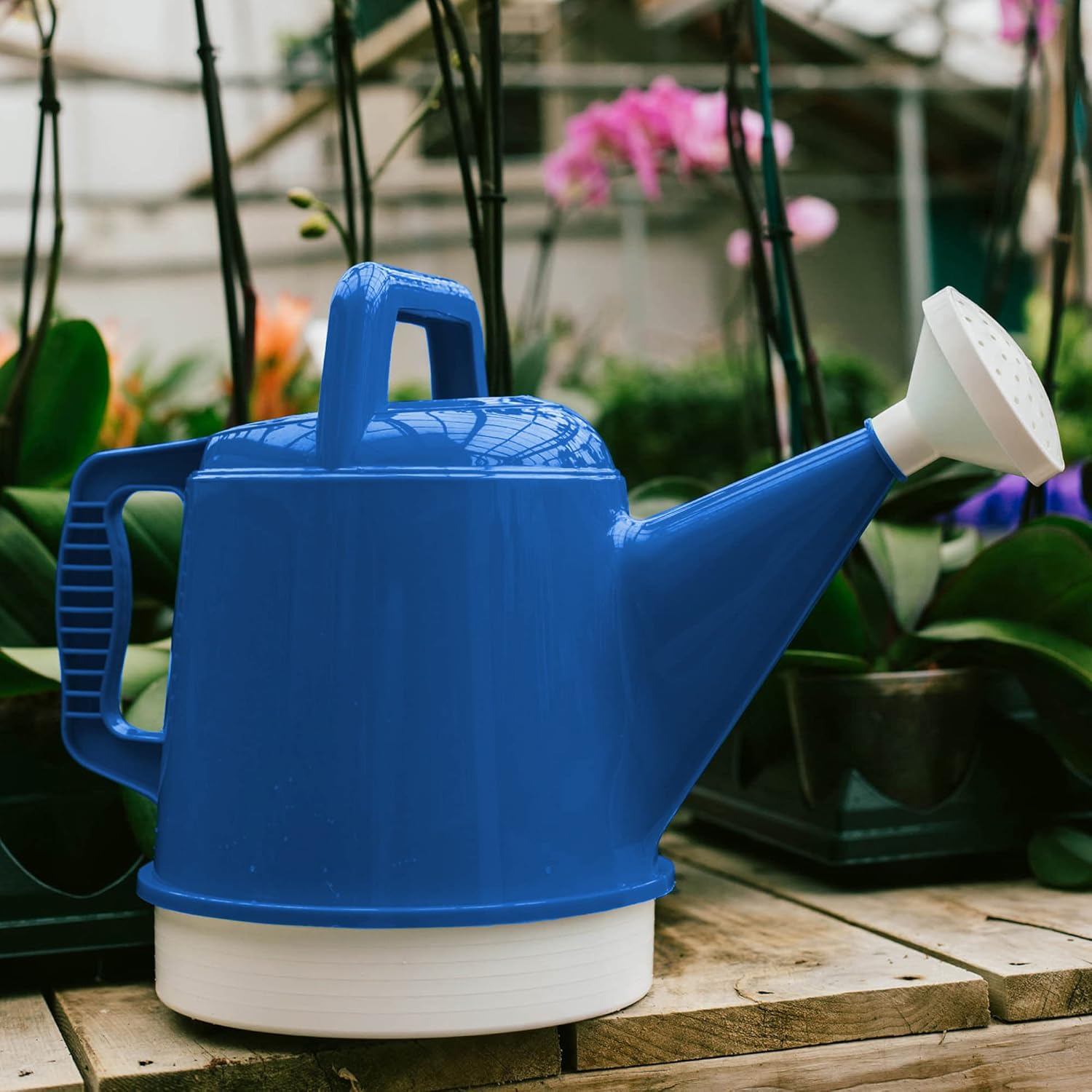 Bloem Deluxe 2 Gallon (256 Fl Oz) Classic Blue Watering Can: Review & Guide