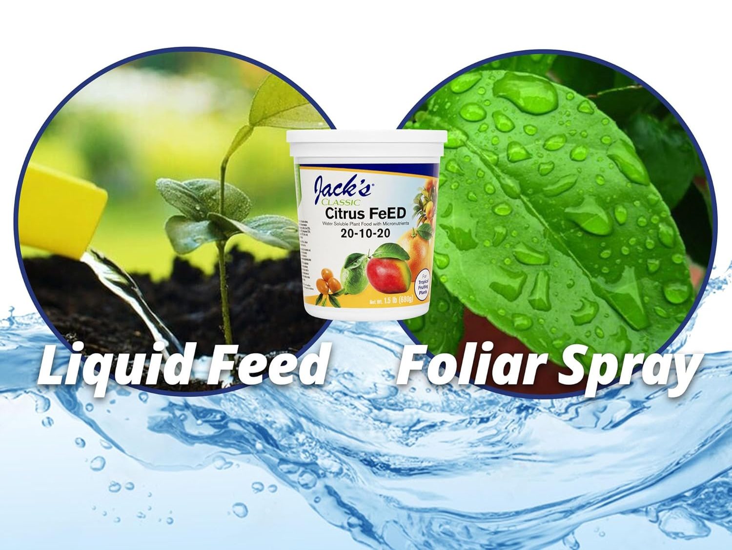 Jack's Classic 20-10-20 Citrus Feed Water-Soluble Fertilizer: Review & Guide