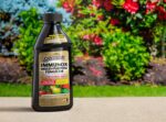 Spectracide Immunox Multi Purpose Fungicide Spray For Gardens Review & Guide